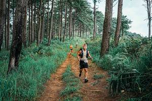 BIB: 
                            <button type="button" onclick="openModal(25702773)" class="btn btn-primary btn-sm float-right btn-popup" data-toggle="modal" data-target=".modal-high-quality">
                        <i class="fas fa-shopping-cart"></i> Add to Cart
                    </button>
                                            <button type="button" onclick="isThisMe(25702773, true)" class="btn btn-success btn-sm float-right btn-popup btn-isme hidden" data-toggle="tooltip" data-placement="bottom" title="นี่คือรูปของคุณใช่ไหม คลิกที่นี่เพื่อเอาเข้าอัลบั้ม">
                        <i class="fas fa-plus"></i> Add to album
                    </button>
                    <button type="button" onclick="isThisMe(25702773, false)" class="btn btn-warning btn-sm float-right btn-popup btn-isnotme hidden">
                        <i class="fas fa-ban"></i> Remove from album
                    </button>